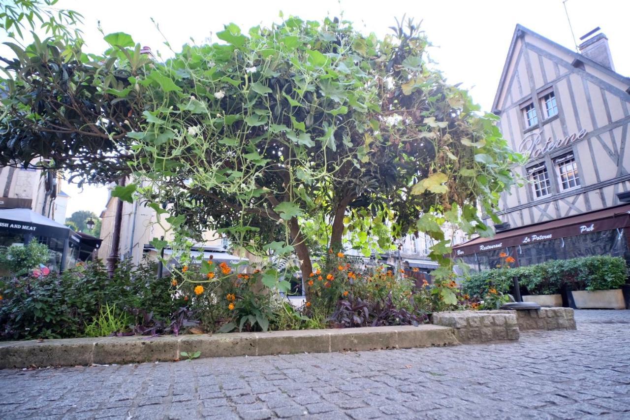 Le Perroquet Fringant, Rue Pietonne Et Quartier Historique Apartman Caen Kültér fotó